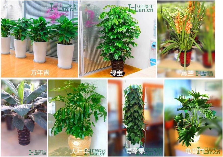 鸿运国际·(中国)首页入口-鸿运hv官网迎接您